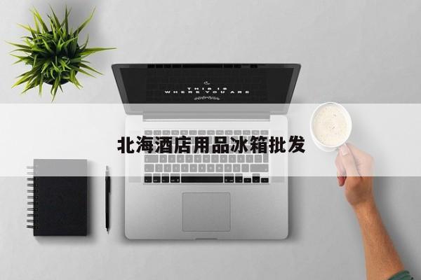 北海酒店用品冰箱批發(fā)
